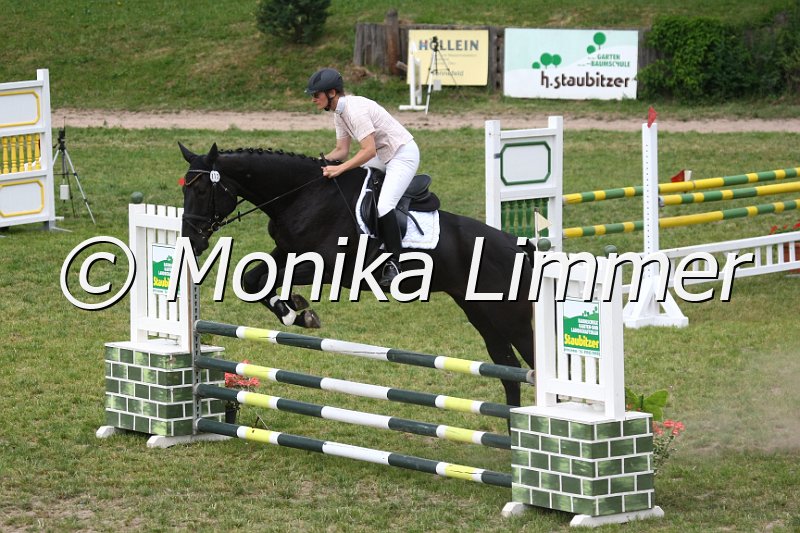 105M0822_Earls Ebony G_Spring_A.JPG